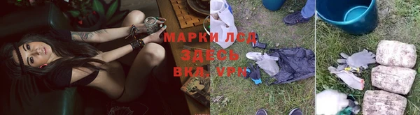 PSILOCYBIN Гусь-Хрустальный