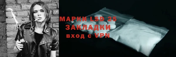 PSILOCYBIN Гусь-Хрустальный