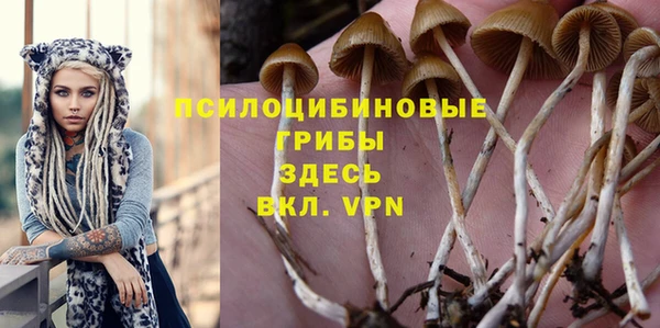 PSILOCYBIN Гусь-Хрустальный