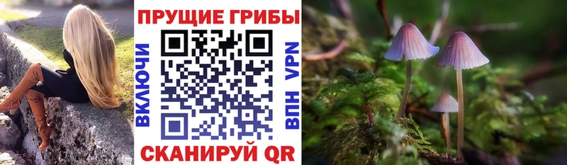 даркнет сайт  Инта  Галлюциногенные грибы ЛСД 
