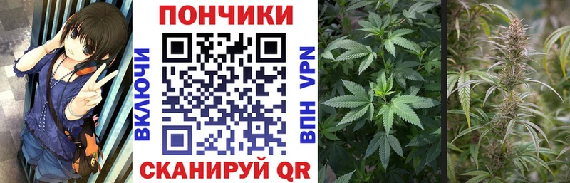 Бошки марихуана конопля  omg сайт  Инта 